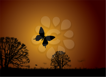 Sunset nature scene with butterfly and silhouette trees