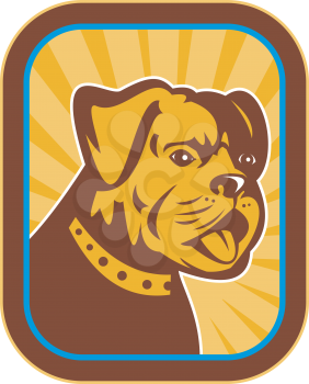 Royalty Free Clipart Image of a Bulldog's Head
