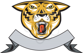 Royalty Free Clipart Image of a Tiger's Head Above a Ribbon