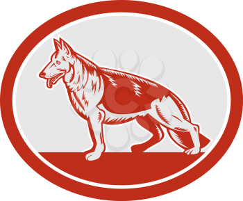 Illustration of a german shepherd dog with tongue out viewed from the side set inside oval on isolated white background done in woodcut style. 