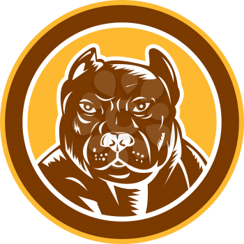 Illustration of a pitbull dog head facing front set inside circle on isolated background done in retro woodcut style.