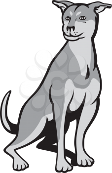 Illustration of a Siberian Husky Chinese Shar Pei cross breed dog sitting on white background done in cartoon style.