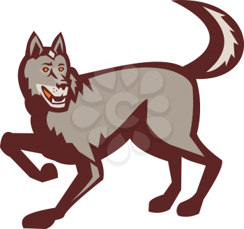 Illustration of a gray wolf stalking viewed from the side set on isolated white background done in retro style. 