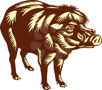 Illustration of the Philippine warty pig or Sus philippensis standing viewed from the side on isolated white background done in retro woodcut style. 