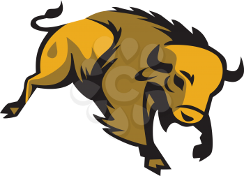 Illustration of an american bison buffalo bull charging facing front set on isolated white background done in retro style. 