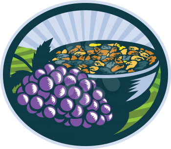 Illustration of a bunch of grapes and raisins in a bowl set inside oval shape with sunburst in the background done in retro woodcut style. 