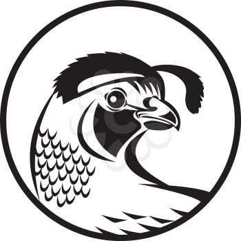 Black and white illustration of a California valley quail head looking to side set inside circle done in retro style. 