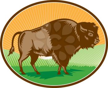 Illustration of an american bison buffalo bull viewed from the side set inside oval shape with sunburst and grass field in the background done in retro woodcut style. 