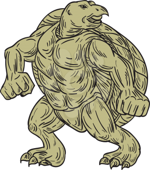 Drawing sketch style illustration of a Kemp's ridley sea turtle or Lepidochelys kempii in a martial arts stance viewed from front set on isolated white background. 