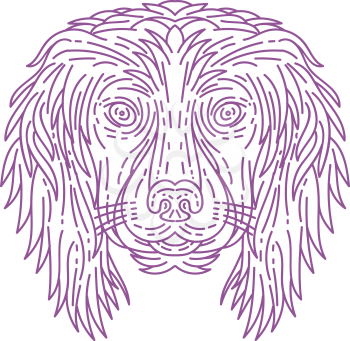 Mono line style illustration of a cocker spaniel dog head viewed from the front set on isolated white background. 