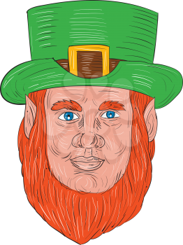 Drawing sketch style illustration of a leprechaun head viewed from front set on isolated white background.