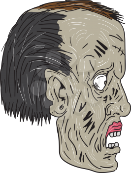 Drawing sketch style illustration of a zombie skull head viewed from the side set on isolated white background. 