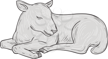 Drawing sketch style illustration of a lamb sleeping set on isolated white background. 
