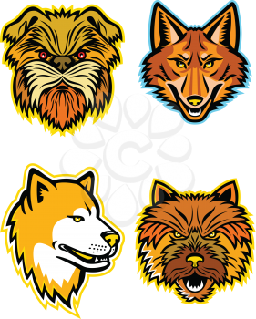 Mascot icon illustration set of heads of terriers and wolves or canids, like the Affenpinscher dog or  Monkey Terrier, coyote, wolf, coydog or wild dog, Japanese Akita Inu and the Norwich terrier viewed from front  on isolated background in retro style.
