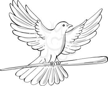 Drawing sketch style illustration of a soaring dove or pigeon with wing spread flying clutching a wooden staff or cane viewed from side on isolated background. 