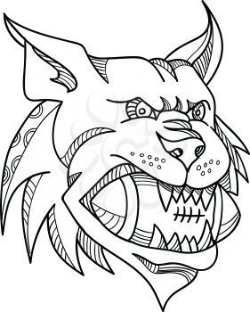 Mono line illustration of a head of a Canada lynx, bobcat, Eurasian lynx or Iberian lynx biting an American football ball viewed from front  done in black and white monoline style.