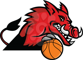Mascot icon illustration of a red wild boar or razorback dribbling a basketball ball viewed from   on isolated background in retro style.