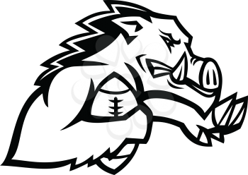 Black and white illustration of a wild boar or razorback, a half-wild pig breed common in the southern US, running with American football ball fend off with stiff-arm viewed side on isolated background.