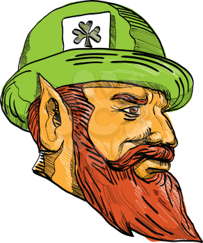 Drawing sketch style illustration of a head of a leprechaun, type of fairy in Irish folklore wearing a bowler hat with clover leaf card viewed from side on isolated background.