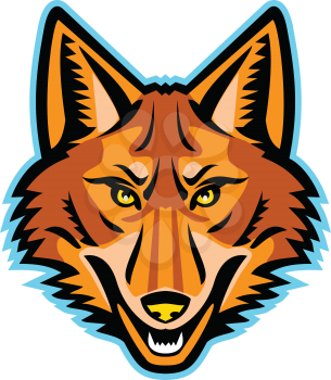 Mascot icon illustration of head of a coyote or Canis latrans, a canine native to North America viewed from the front on isolated background in retro style.