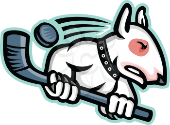 Sports mascot icon illustration of a bull terrier or wedge head holding an ice hockey stick with puck at back viewed from side on isolated background in retro style.