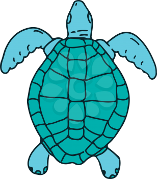 Drawing sketch style illustration of a  a sea turtle swimming viewed from top  on isolated white background.