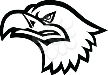 Mascot black and white illustration of head of a Eurasian sea eagle, also known as gray sea eagle, white-tailed eagle, ern or erne viewed from side on isolated background in retro style.