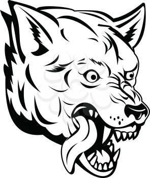 Sports mascot illustration of head of an aggressive and angry wolf, canis lupus, gray wolf or grey wolf, a large canine native to Eurasia and North America side view in black and white retro style.
