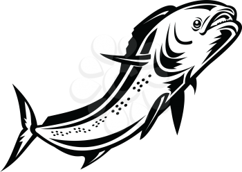 Retro style illustration of a mahi-mahi, dorado or common dolphinfish (Coryphaena hippurus), a surface-dwelling ray-finned fish, jumping up done in black and white on isolated background.