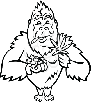 Black and white mascot illustration of a blue gorilla holding a bunch of blueberry on one hand and cannabis leaf on other smoking a joint standing from front on isolated background in cartoon style.