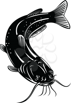 Retro woodcut style illustration of a channel catfish Ictalurus punctatus or channel cat, North America's most numerous catfish species, swimming down on isolated background done in black and white.