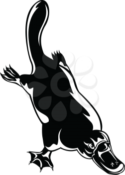 Retro woodcut style illustration of a duck-billed platypus Ornithorhynchus anatinus, a semiaquatic egg-laying mammal endemic to eastern Australia diving down on isolated background in black and white.