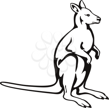 Retro woodcut style illustration of a kangaroo or wallaby, a small or middle-sized macropod native to Australia and New Guinea, viewed from side on isolated background done in black and white.