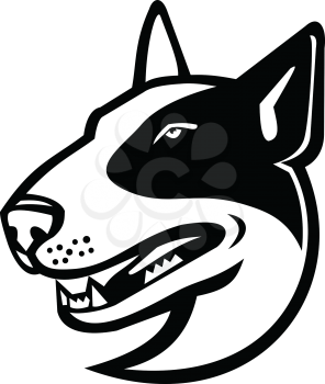 Black and white mascot illustration of head of a Bull Terrier, a breed of dog in the terrier family viewed from side on isolated background in retro style.