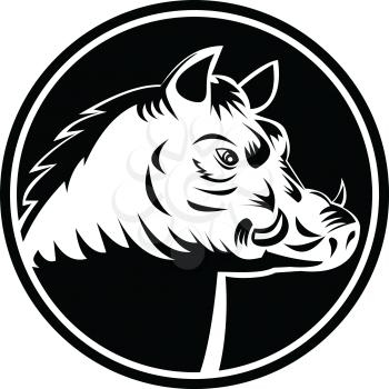 Retro woodcut style illustration head of of a Razorback, wild hog or feral pig, a type of feral domestic pig, wild boar or hybrid in North America set in circle done in black and white.
