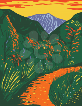 WPA poster art of McKittrick Canyon trail, a scenic canyon within the Guadalupe Mountains National Park in New Mexico during fall done in works project or administration federal art project style.