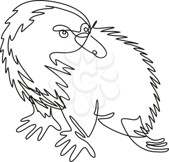 Continuous line drawing illustration of an Echidna or spiny anteater side view done in mono line or doodle style in black and white on isolated background. 