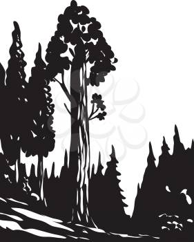 WPA poster monochrome art of General Grant Tree Trail in Kings Canyon National Park located in Sierra Nevada, California, USA done in works project administration black and white style.