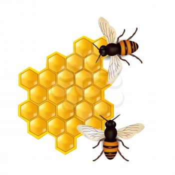 honeycombs with honey bees 