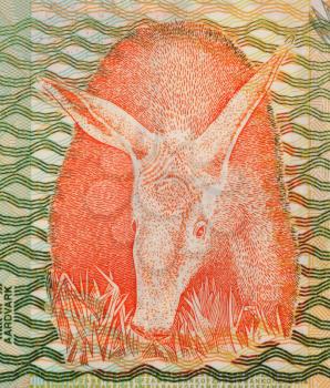 Royalty Free Photo of an Aarovark on 1000 Kwacha 2003 Banknote from Zambia.
