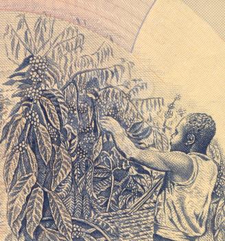 Royalty Free Photo of Coffee Harvesting on 500 Shillings 1983 Banknote from Uganda.