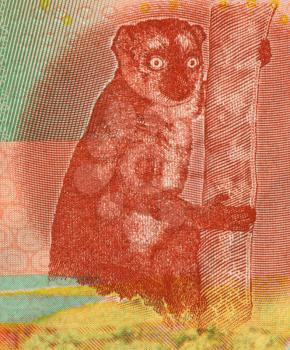 Royalty Free Photo of a Lemur on 500 Francs 2006 Banknote from Comoros