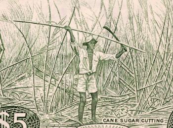 Royalty Free Photo of Sugar Cane Harvesting on 5 Dollars 1989 Banknote from Guyana