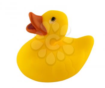 Royalty Free Photo of Yellow Duck