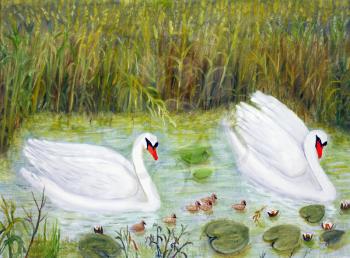 Royalty Free Clipart Image of Two Swans on a Lake