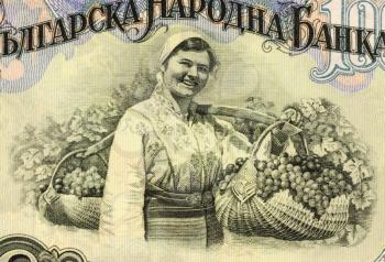 Royalty Free Photo of a Woman Harvesting Grapes on 100 Lev 1951 Banknote from Bulgaria