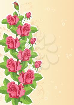illustration of a rose funny card