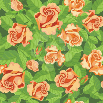 illustration of a seamless beatifull roses