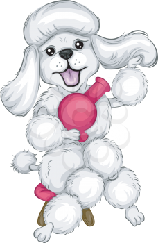 Royalty Free Clipart Image of a Poodle With a Blow Dryer