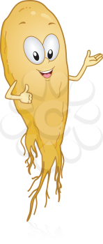 Royalty Free Clipart Image of Ginseng